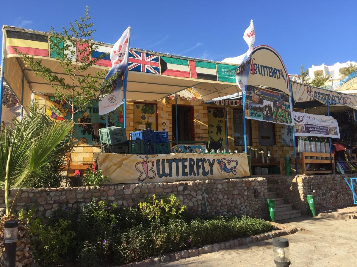 Sharks Bay Oasis Apartment Sharm el-Sheikh Exterior photo