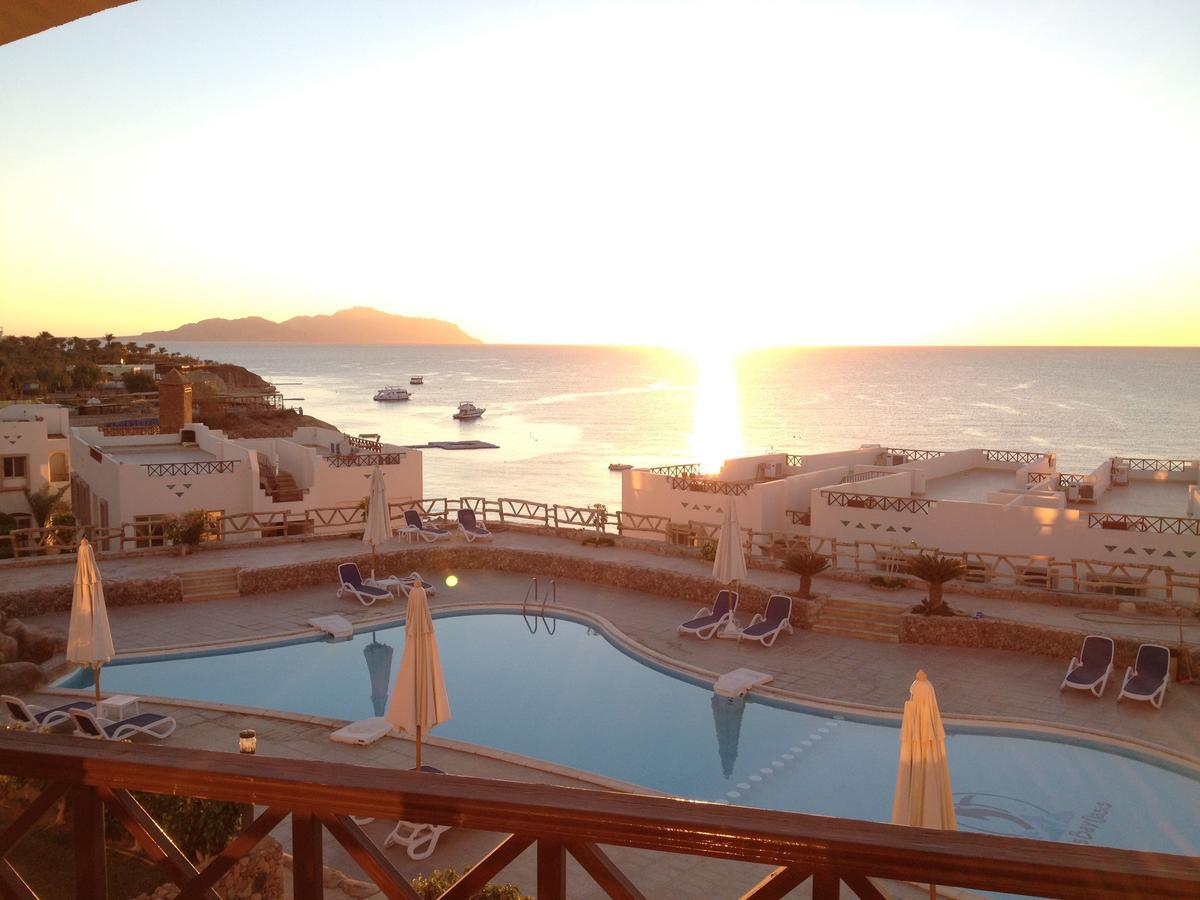 Sharks Bay Oasis Apartment Sharm el-Sheikh Exterior photo